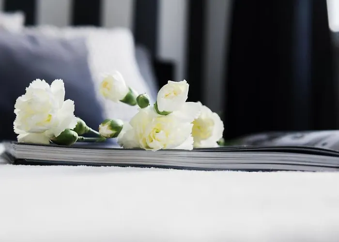 Apartment Roomsy - Happy Apes *